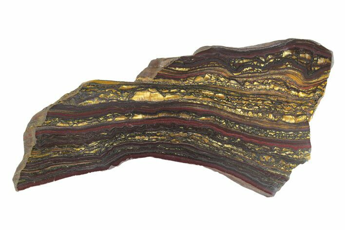 Polished Tiger Iron Stromatolite Slab - Billion Years #222951